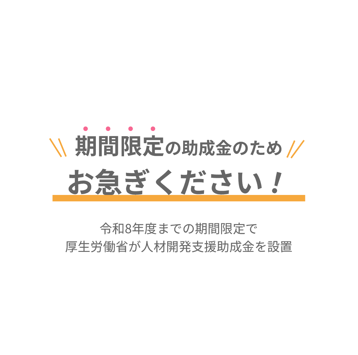 セクション12